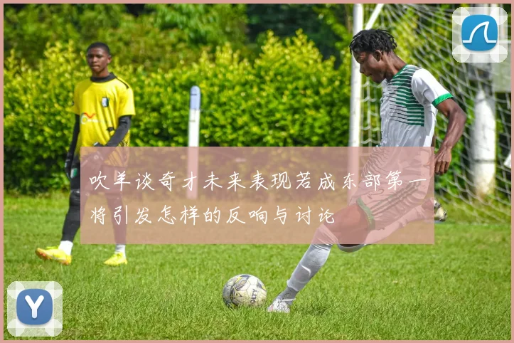 吹羊谈奇才未来表现若成东部第一将引发怎样的反响与讨论