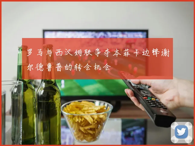 罗马与西汉姆联争夺本菲卡边锋谢尔德鲁普的转会机会